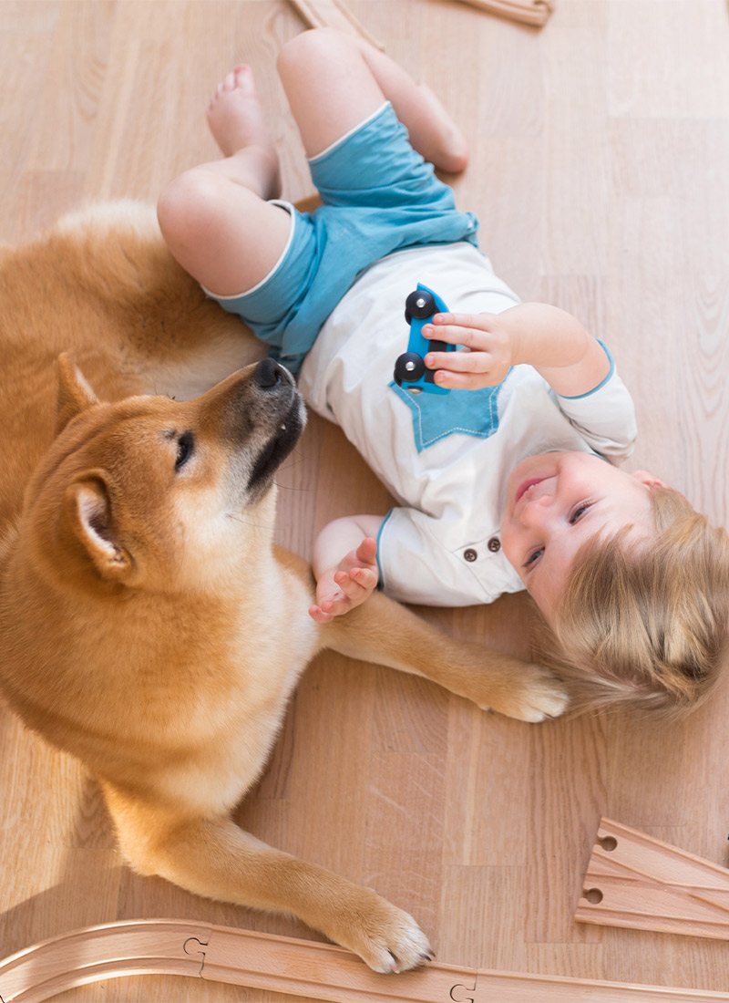Gutt og hund leker på stuegulv med vannbåren gulvvarme