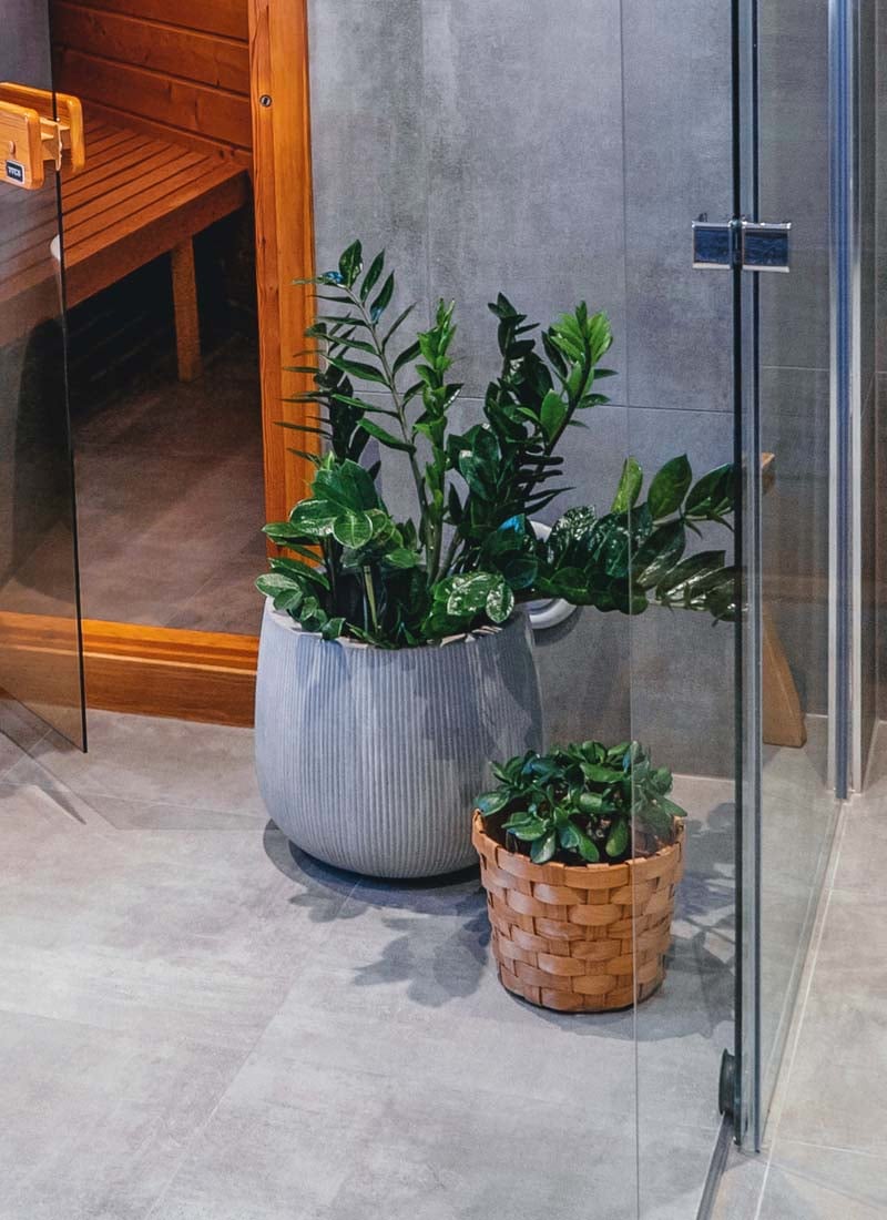 Zamioculcas som plante på badet