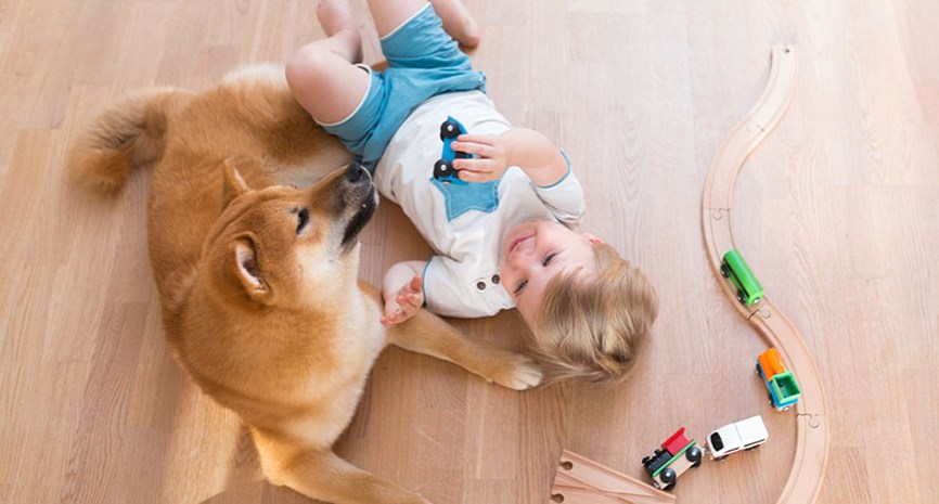 Gutt og hund leker på varmt stuegulv